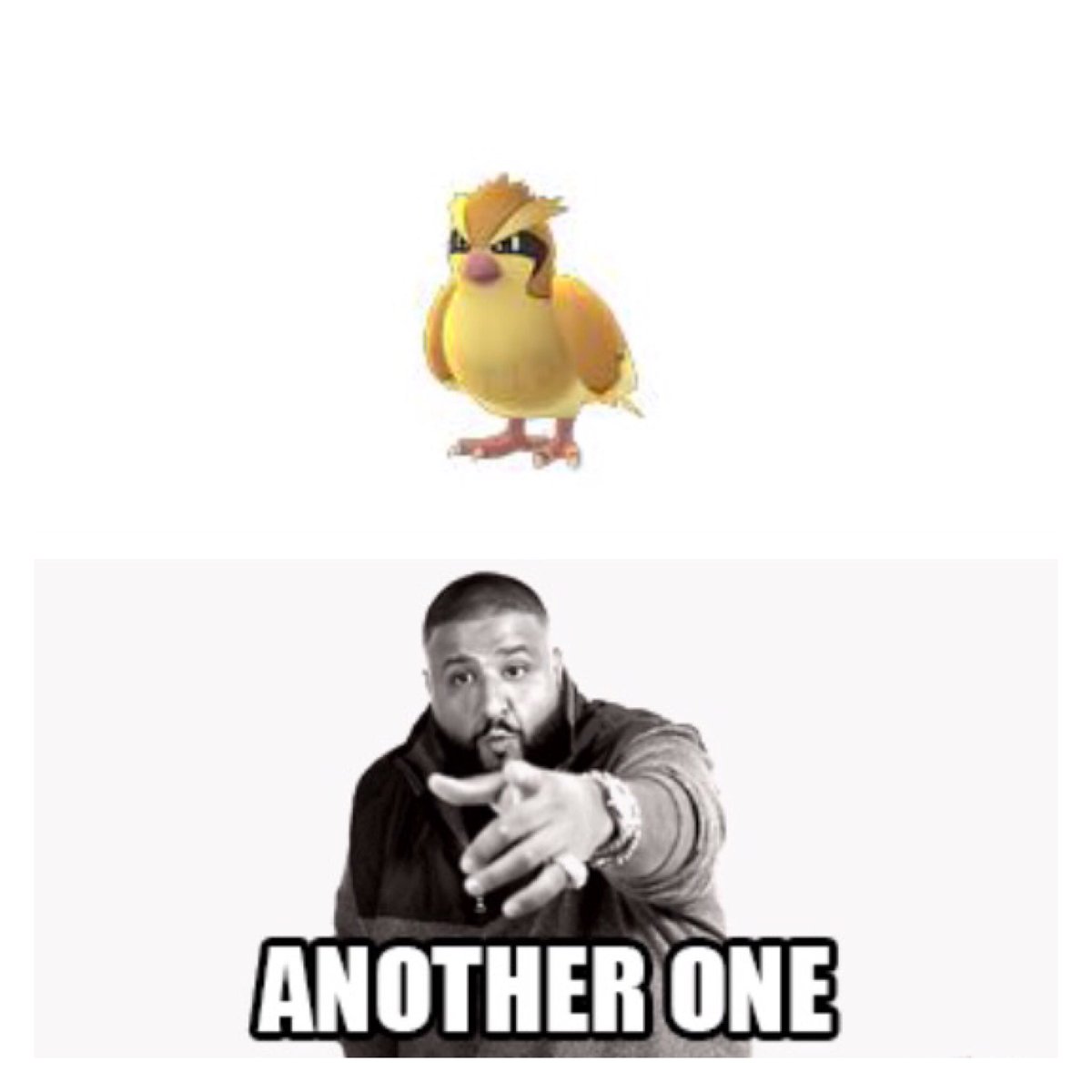 GetEffectiveOG's tweet image. When you see a #Pidgey on #PokemonGO 😂