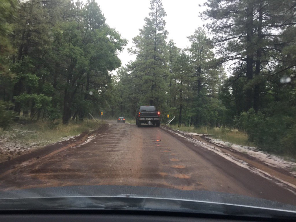 BElliott44's tweet photo. Accident on 17 to flag leads to a short long cut through the woods in a Elantra. :) https://t.co/Em49BJ0kkd