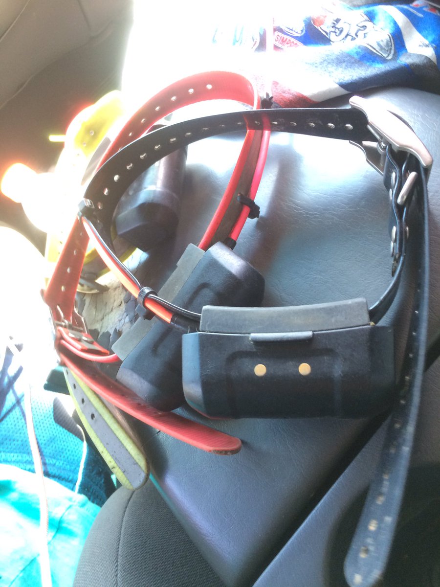 allenhiggsmusic's tweet photo. Chase these, not Pokemon. @Garmin #Garmin #doghunt #bayed #hoghunt https://t.co/ffKoSga3Xr