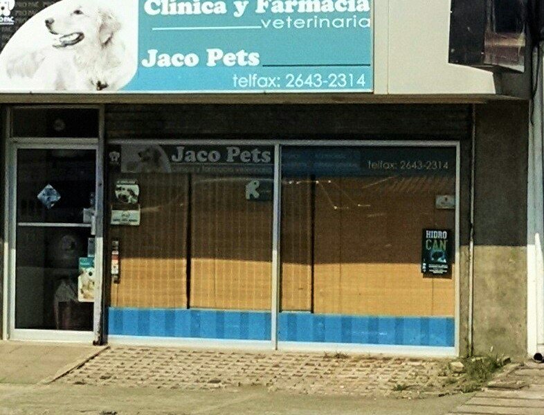 carpedoin1's tweet photo. #TravelAbroad #Expats #PetTravel #PetSupplies #CostaRica #Jaco #JacoPets #Vet #DogGroomers #PlaceTo #SeeFBDetails https://t.co/SBeNoPoakx