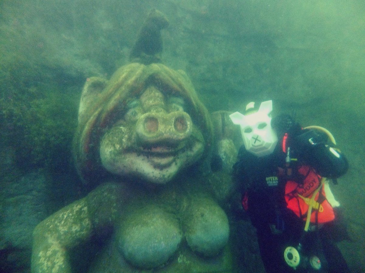 amythistangel's tweet photo. Not much has changed but they live underwater #PigsCanDive #Year3000 #PigsOnTour #Busted @Busted https://t.co/4YxNxg6wJm
