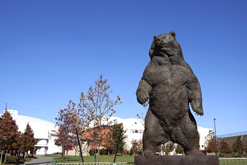 samshadorf's tweet photo. Proud to be a Brown Bear #GoBears 🐻 https://t.co/8tFid1PsvI