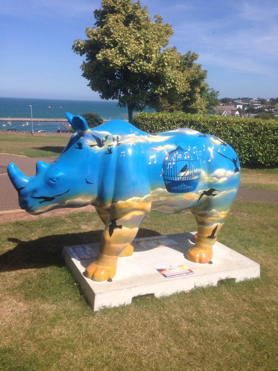 josie_seagull's tweet photo. Isn't this one beautiful!- βRhino Why The Caged Bird Singsβ #rhinotrail #Furzeham #Brixham https://t.co/gzvVHfLw8X