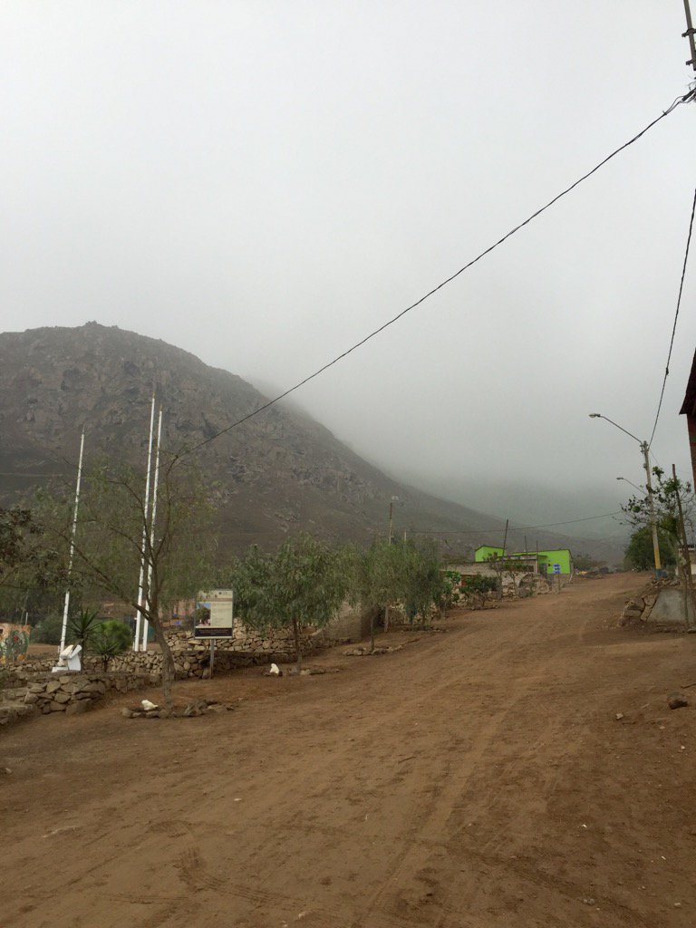 DanielaBenzaque's tweet photo. Running @pachacamac #trail #adidasoutdoor https://t.co/ubgMfhUYix