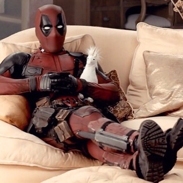 デッドプール در توییتر 日曜の朝も悠々と早起きしちゃう健康的な俺ちゃん ユニコーン デッドプール
