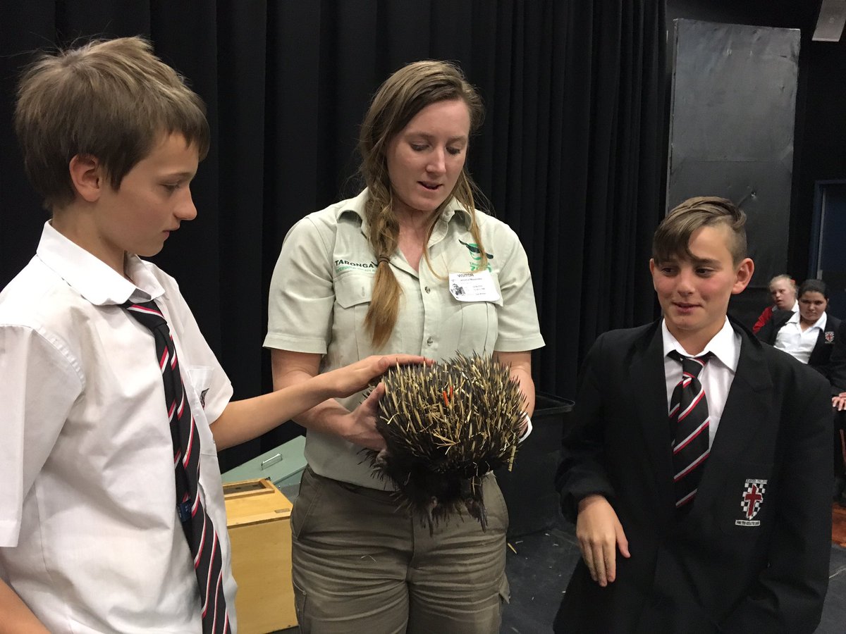 gail_gwalker2's tweet photo. @XavierLlandilo Zoo visit 4 Science Week:  hands-on learning &amp; raising $ for WIRES https://t.co/SJSKmHCJgr