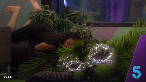 Just when those bushes thought they wouldn’t be having any more arguments. 🌿🌲🌳 #CBB