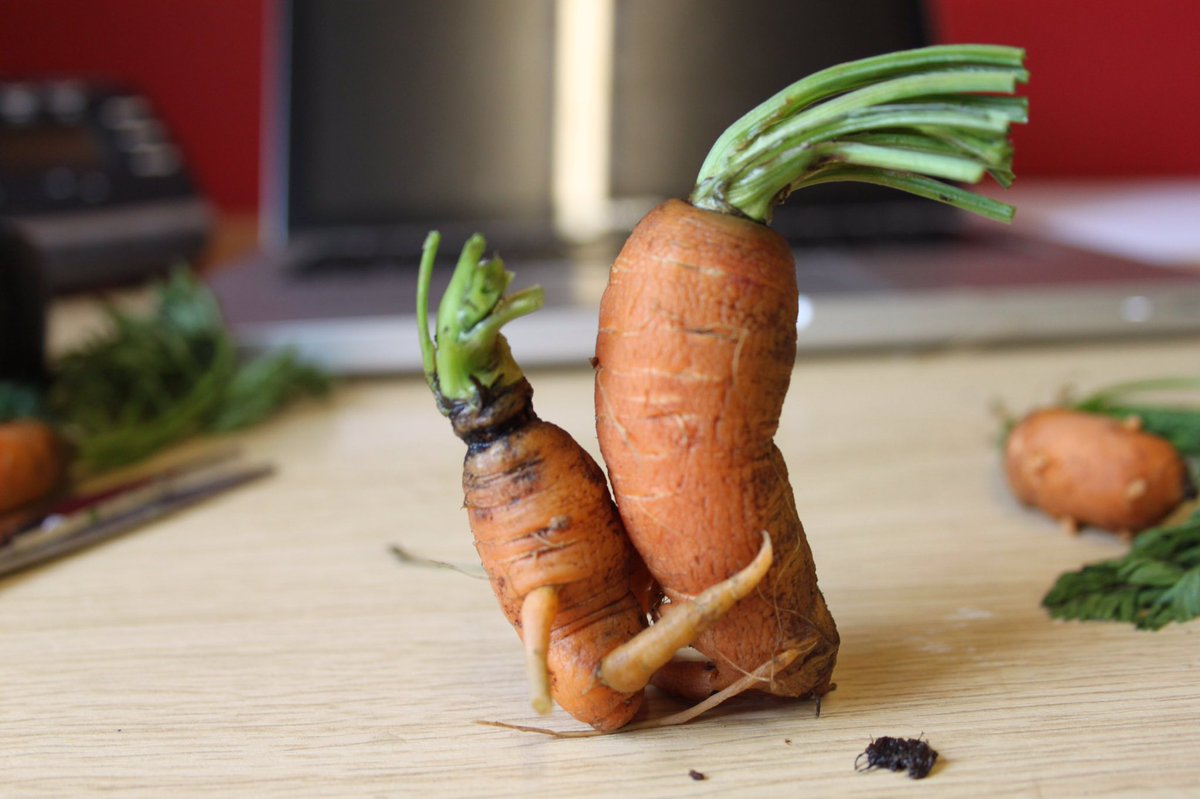 these carrots got the love of a lifetime and i can't even get a text b...