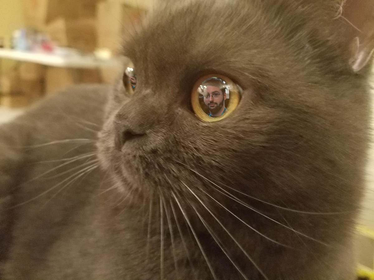 When Monkey has her eyes on the prize

Credit to <a href="/Aiorax/">Jean</a>