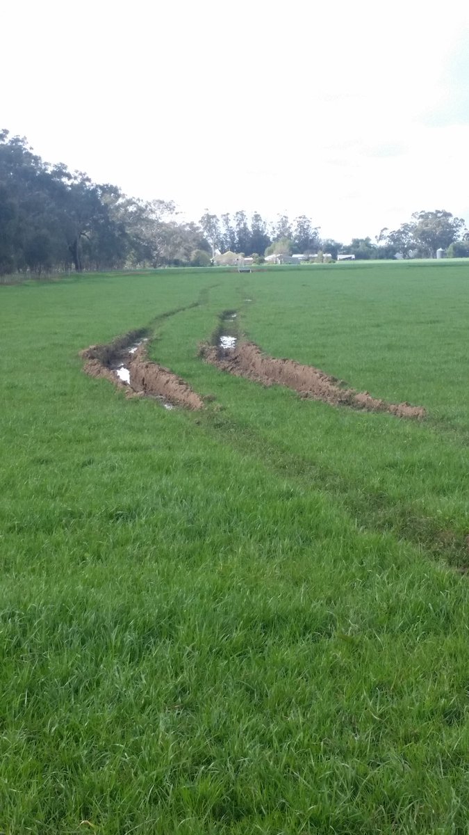 llanreath's tweet photo. Well we tried to do a bit of urea b4 the rain by ground and then decided it was best to do the fungicide by air! https://t.co/RgZJgJjzye