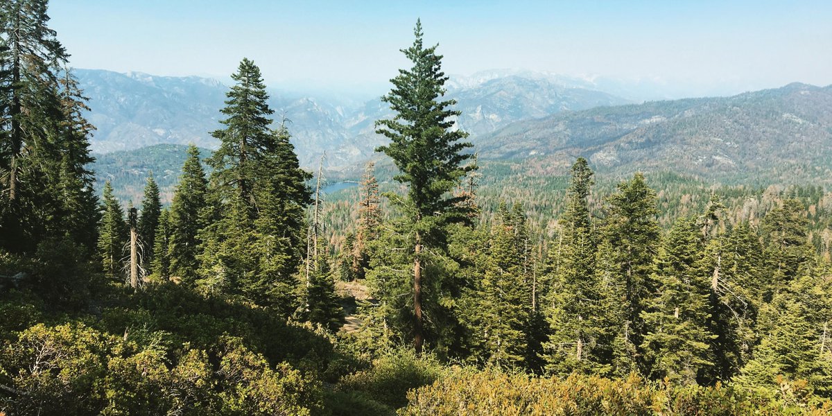 bigtreestransit's tweet photo. This view is absolutely breathtaking. #PanoramicPoint https://t.co/HzNrWoMSm4