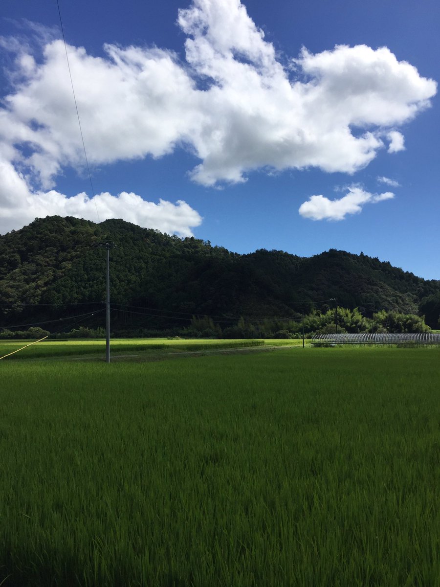 kosuke07251230's tweet photo. やっぱり大野見はいいねぇ https://t.co/Fduth2Evnx