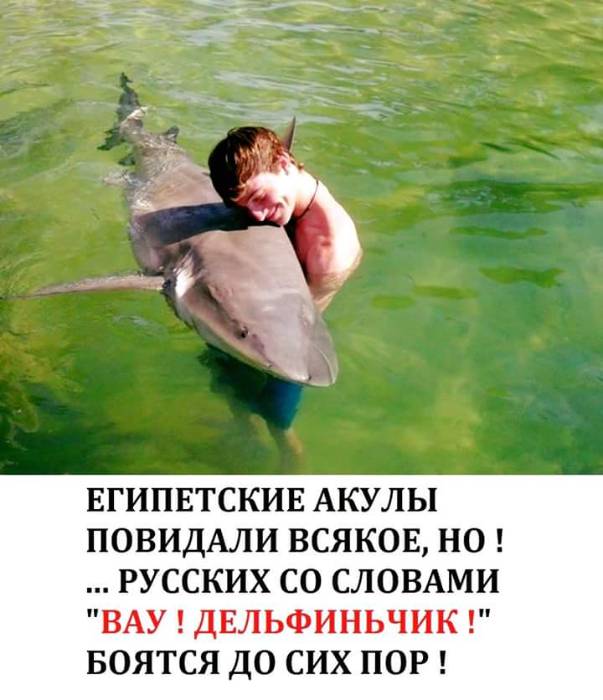 CqW_bf5VUAAGyfY.jpg:large