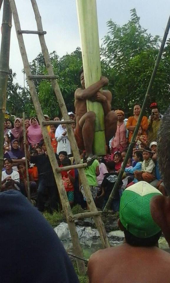 dhian_sya021's tweet photo. @Trans7OnTheSpot acara 17 agustus diBlora panjat pinang menggunakan pelepah pisang gokil abiiisss #otstrans7 https://t.co/HsOeOk9Ued