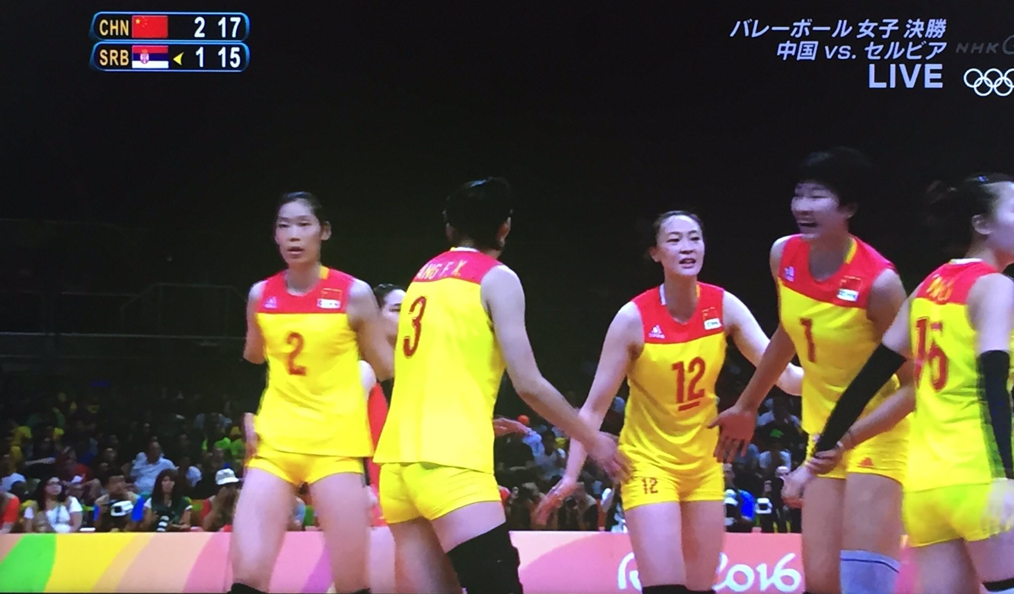 女子バレー セルビア代表 ユニフォーム 火の鳥 NIPPON の挑戦を