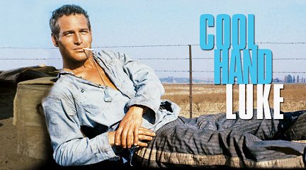 suzmattaboni's tweet image. #SaturdaySchmooze Cola Hand Luke
 @Gamiliell #SodaPopAMovie #FailureToCommunicate  #ClassicCinema