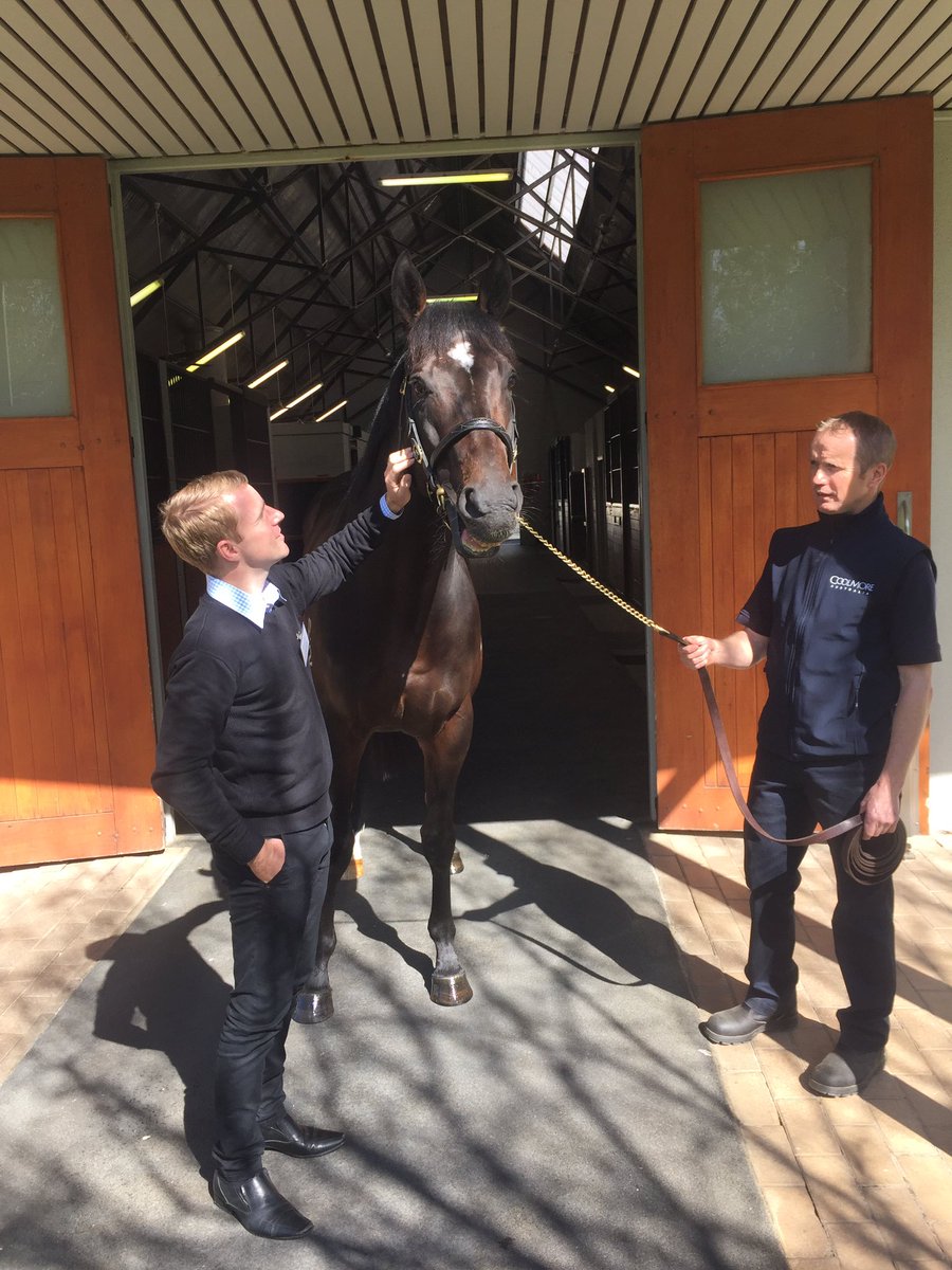 CoolmoreAus's tweet photo. @TommyBerry21 reacquainting himself with #champion #Vancouver https://t.co/yk2Z7UAf5u