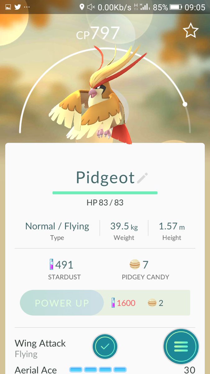 iAmDalian's tweet photo. @CatchEmAlI @Pokemon @PokemonGoApp @Brittneyxxb ....  A pidgeot https://t.co/jAqdWqbmvh