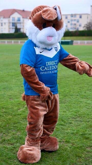 david capinha tweet media