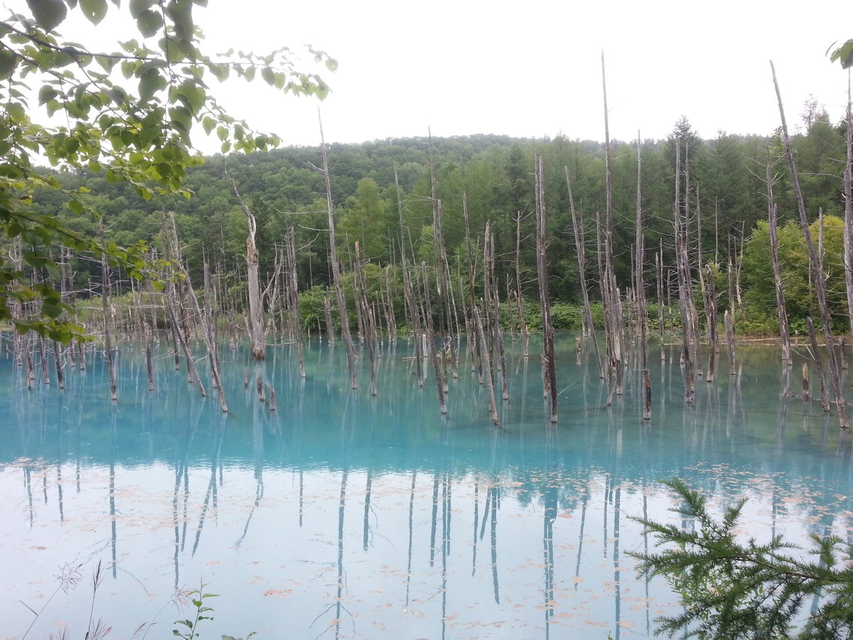 Mac users, does this place look familiar?