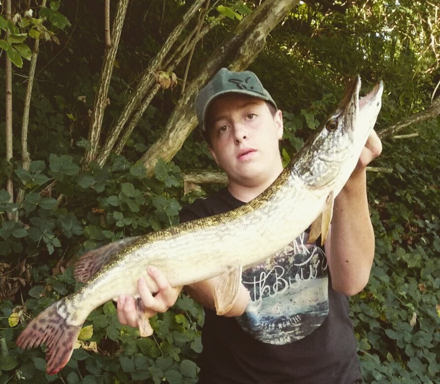 filippo_mine's tweet photo. #pikefishing https://t.co/w3EcnrE3j4