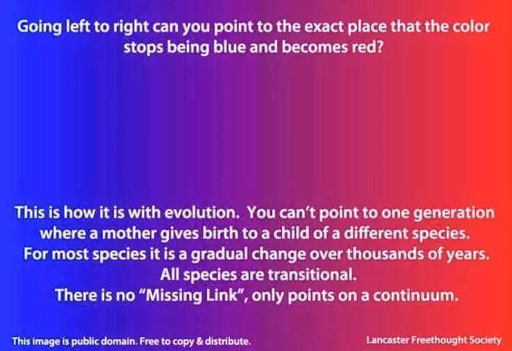 ATHE1STP0WER's tweet image. #EvolutionIsAFact