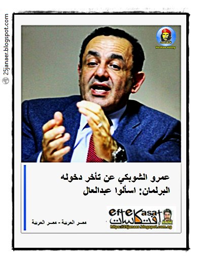 عمرو الشوبكي عن تأخر دخوله البرلمان: اسألوا عبدالعال 