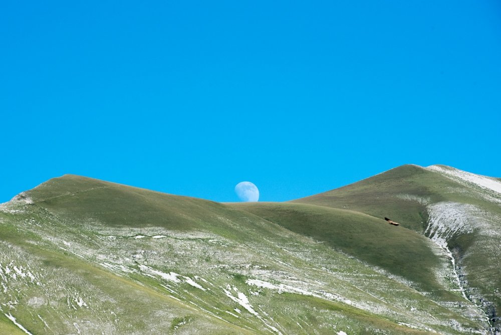 edz123459's tweet photo. moonrise - a wonderful moonrise in Castelluccio #hiking #trecking #montagne #montagna #sibillini #forcaviola #hiking https://t.co/a16FHjVtmY