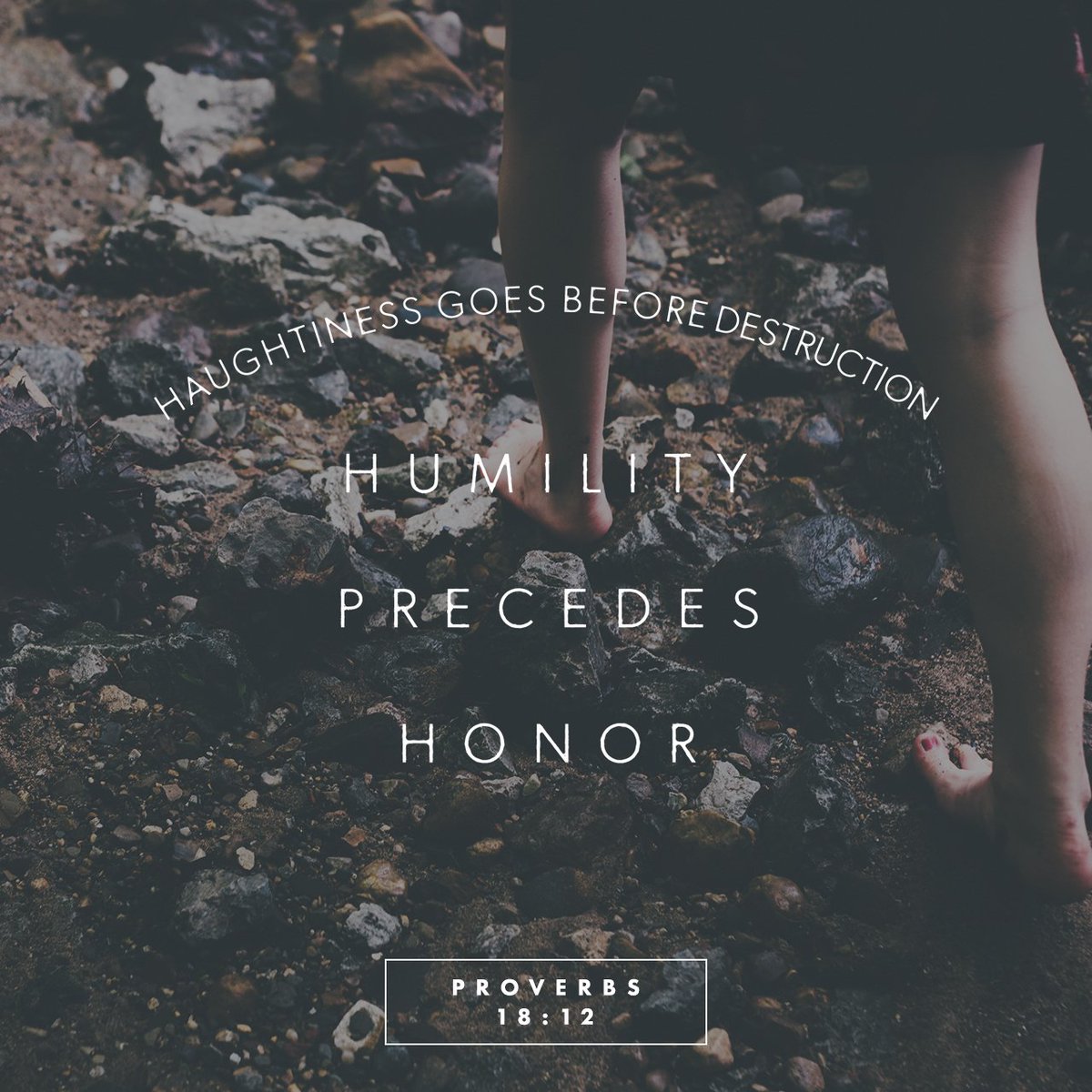 Daily_Bible's tweet photo. Haughtiness goes before destruction; humility precedes honor. https://t.co/xrrLUJyqPt https://t.co/KuuFjkPtZ1