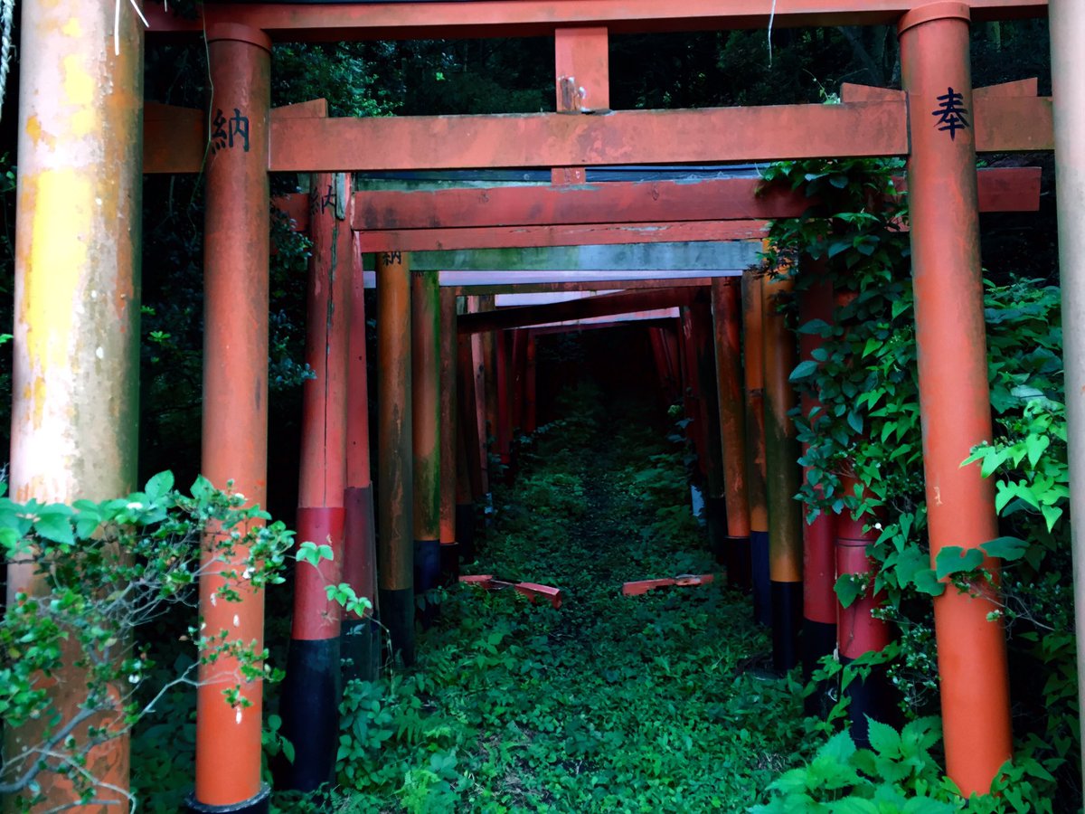 獣道の向こう側にある稲荷神社の雰囲気のガチな感じが心くすぐる Togetter 獣道の向こう側にある稲荷神社の雰囲気のガチな感じが心くすぐる Togetter