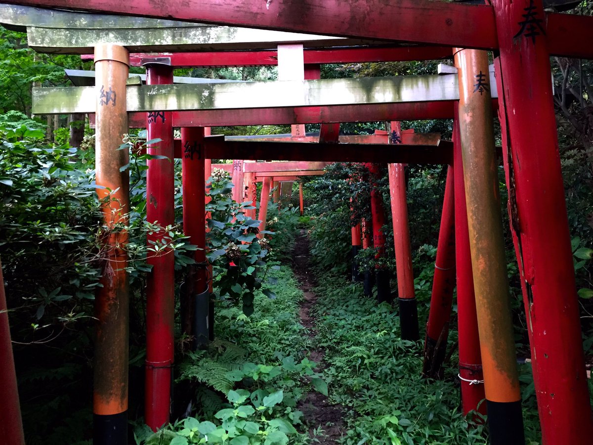 獣道の向こう側にある稲荷神社の雰囲気のガチな感じが心くすぐる Togetter 獣道の向こう側にある稲荷神社の雰囲気のガチな感じが心くすぐる Togetter