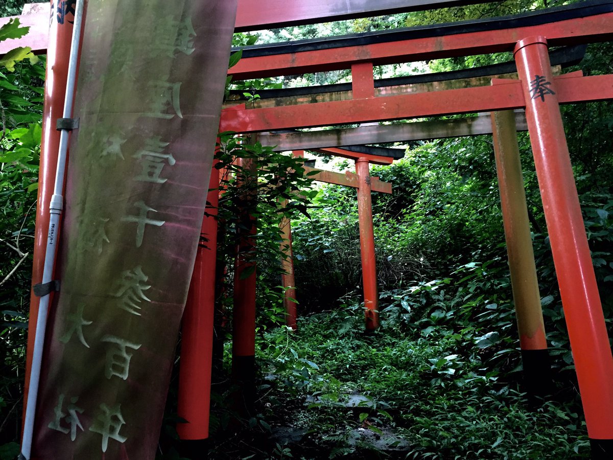 獣道の向こう側にある稲荷神社の雰囲気のガチな感じが心くすぐる Togetter 獣道の向こう側にある稲荷神社の雰囲気のガチな感じが心くすぐる Togetter