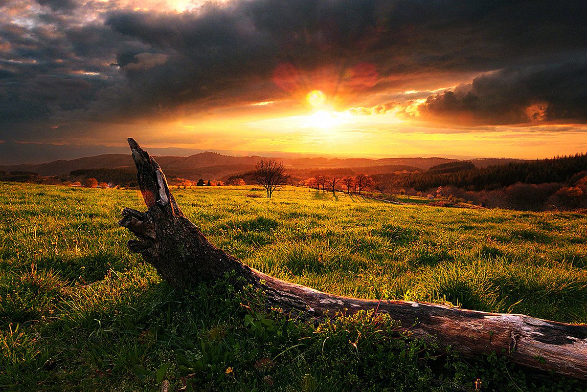 AlphaAutos's tweet image. Bom-dia!
Vai viajar? Compartilhe suas fotos usando #TripAlphaAutos
#bomdia #alphaautos #goodmorning