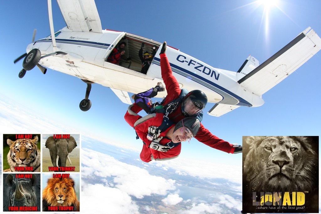 Protect_Wldlife's tweet image. I am doing a SKYDIVE to raise funds to help @LIONAID #SaveLions! Text TTFN90 £10 to 70070 to sponsor me today.Thanks