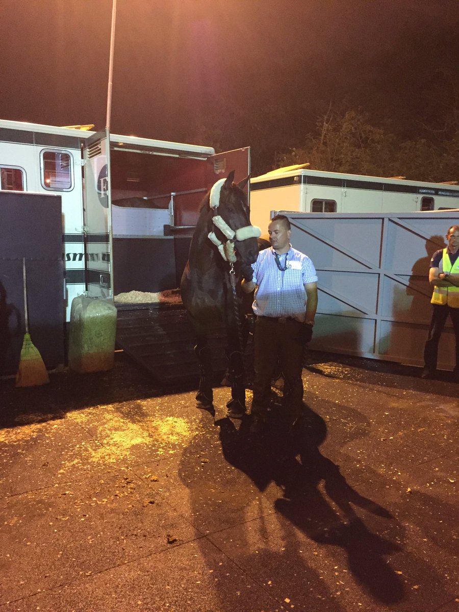 AlexDressage's tweet photo. With Rio competition over, Olympic horses traveled home last night. https://t.co/Ie65lDUyzb