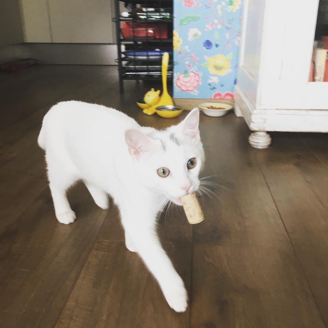 Nieuw stukje online! Over #wijn, een deur en doperwtjes. wijnmuis.com/rose/2016/8/21… #blog