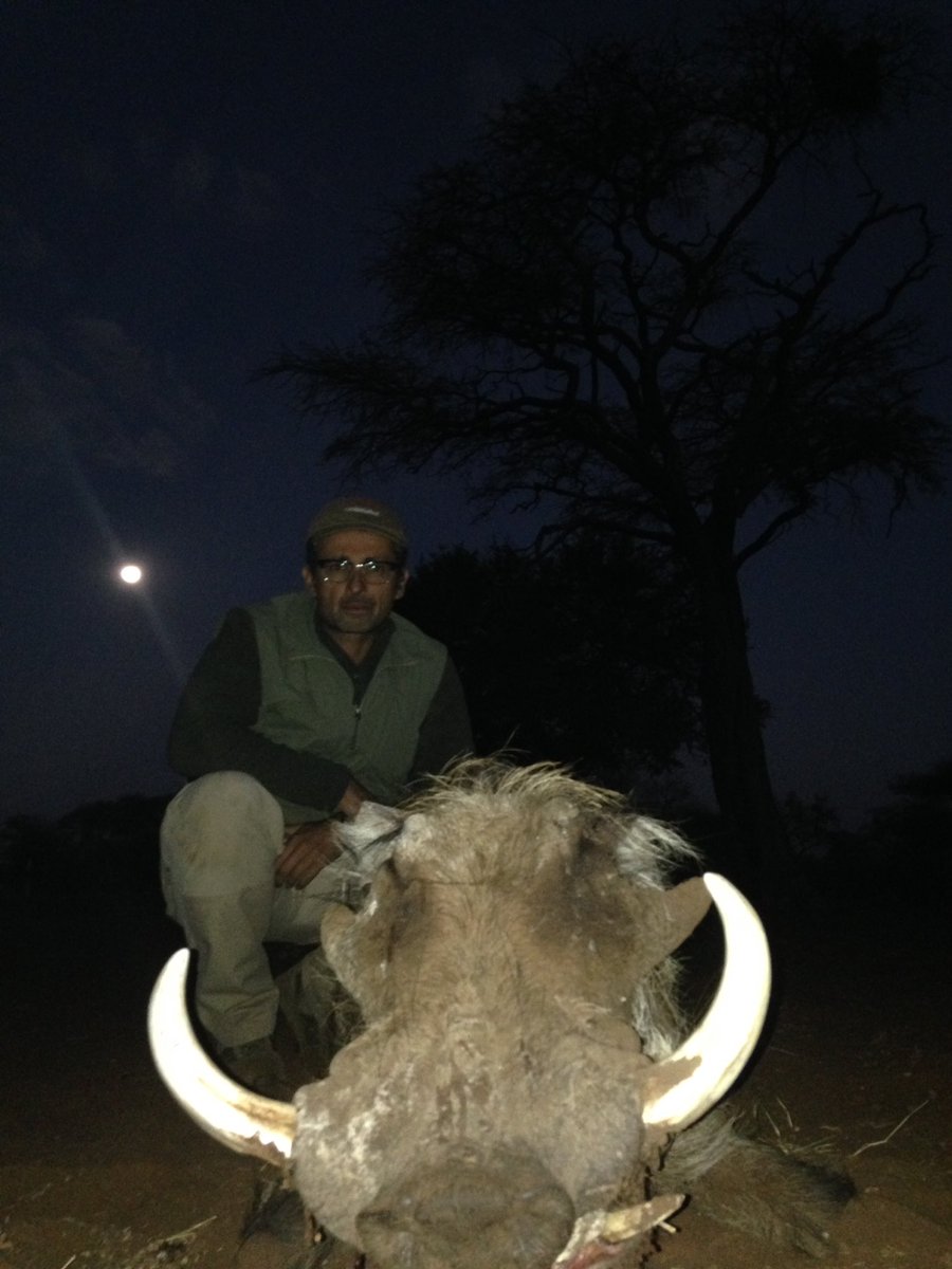 Bonito faco abatido por nuestro cazador AIM en el Limpopo, Sudáfrica.