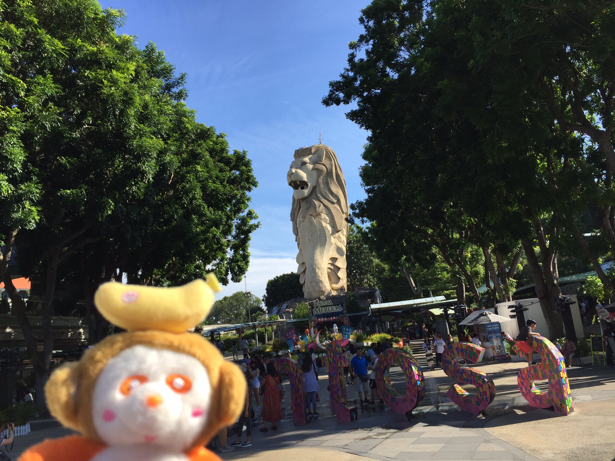 にし子 夏休みの思い出 シンガポール aキズナ合宿で行っていたセントーサ島へ 絶叫系苦手だけどメガジップに乗ってみた にっしーと同じ真ん中のラインで ギャーーー a シンガポール キズナ合宿 メガジップ T Co Frds69u2vd