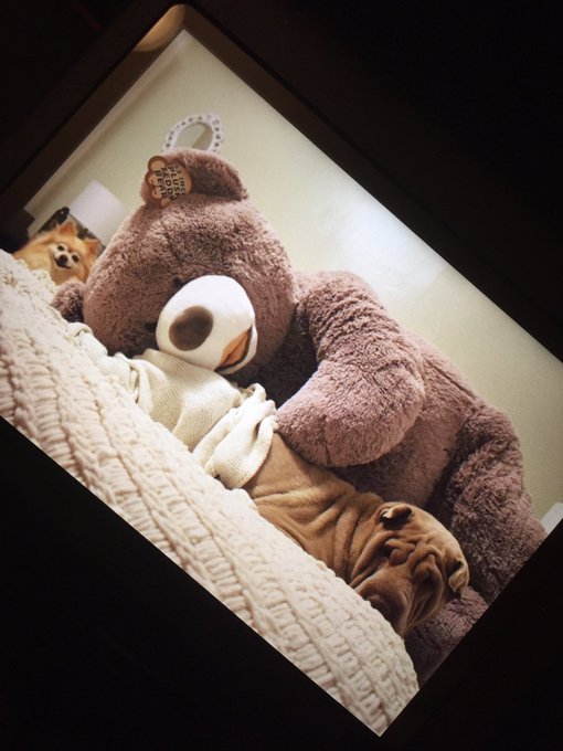 If I'm not the world's best photographer, I dunno who is tbh https://t.co/QTSDWaekTe