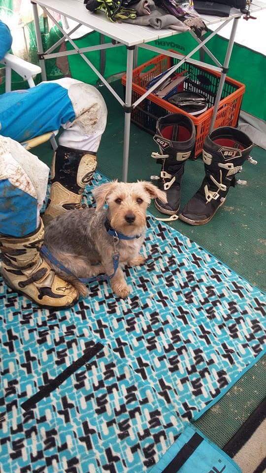 Abbie Medcalf Medcalf Abbie Twitter