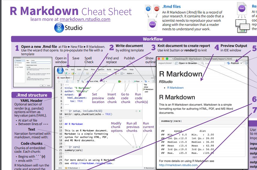 barbaramaseda's tweet image. For those who want to give #Rnotebooks a try - #rstats #rmarkdown #literateprogramming #ddj rstudio.com/wp-content/upl…