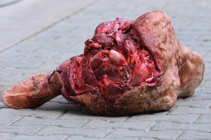 View image on Twitter