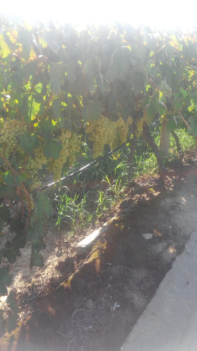 I'm at Caglayan-1 swarmapp.com/c/ezSeTkQ3ejJ