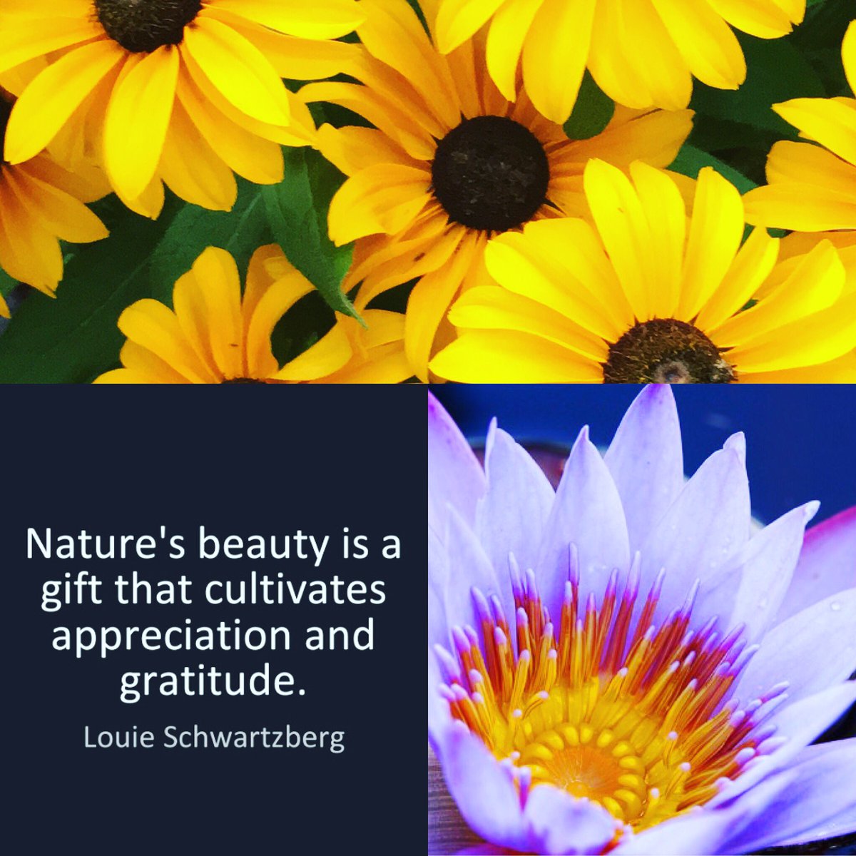 THE_pearl_spa's tweet photo. Enjoy this Sunday morning read by #partnersinwellness @redflowernyc https://t.co/zPvjZEa97i https://t.co/HXLJM5xGgt