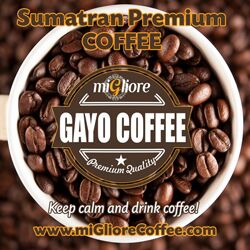 Kopi Arabica Gayo Yang Mendunia yang Enak dan Sehat