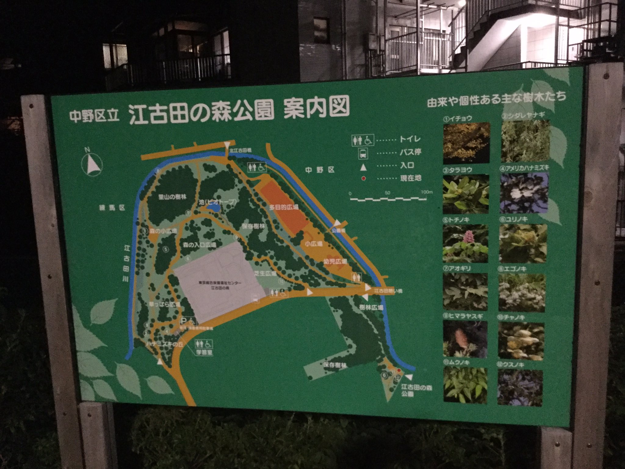 تويتر ゆきしば ドラクエウォーク على تويتر ワンリキーの巣 江古田の森レポート 世田谷公園の70 の広さで ワンリキーがわらわら湧きますw 自分が使ってるp Go Searchでは殆ど探知できず 適当に歩いているだけでしたが1時間半で15匹ゲット ポケモンgo