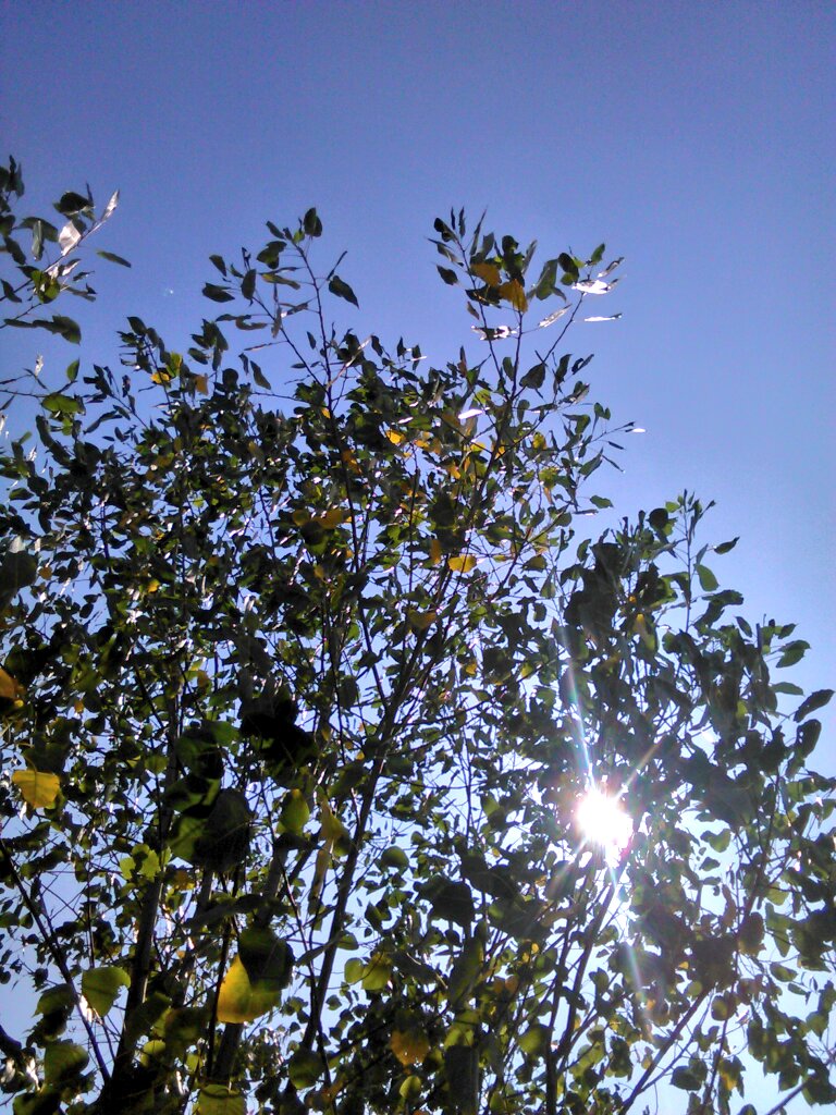 RadiantCatalyst's tweet image. #sdraiato #visuale #cielo #relax #RelaxMode