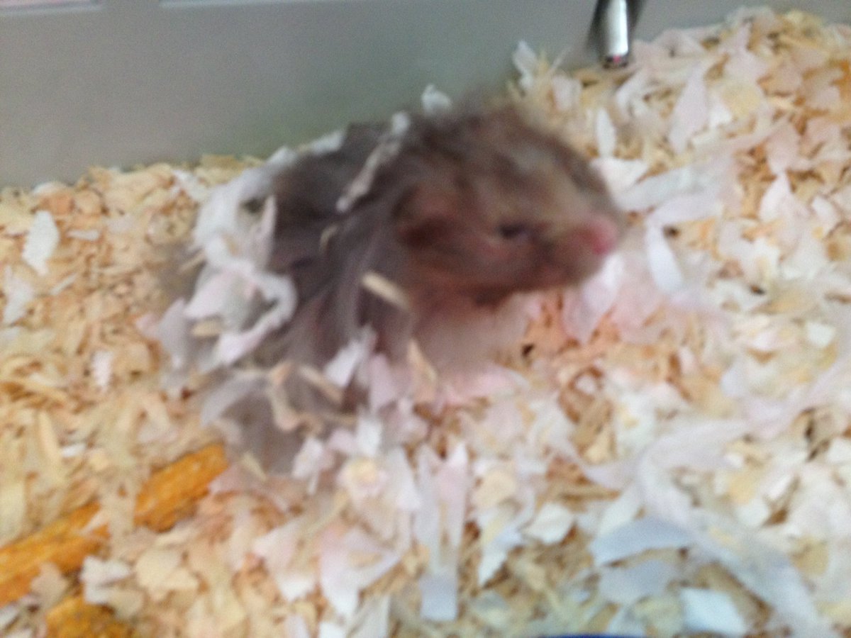 Where's my bed? Oh yeah I'm wearing it! Hx