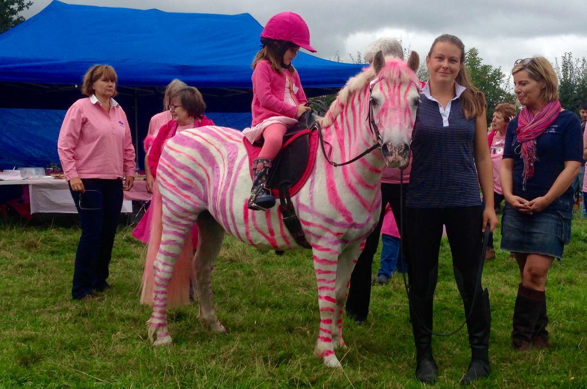 The Isle Estate tweet media