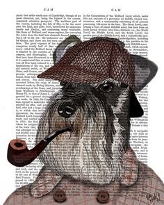 HenryHornerDog's tweet photo. @Stoofa74 @BibAndTuckUK who's been murdered? Cos I look like Sherlock bloody Holmes.

And where's my pipe? https://t.co/nGE2w9T30G